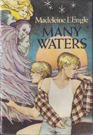Image for MANY WATERS